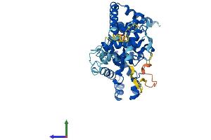 Protein Structure (PS) image for TBC1 Domain Family, Member 13 (TBC1D13) (AA 1-400) protein (His tag) (ABIN7544234)