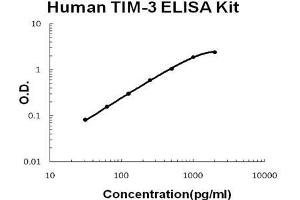 Human  TIM-3 PicoKine ELISA Kit standard curve