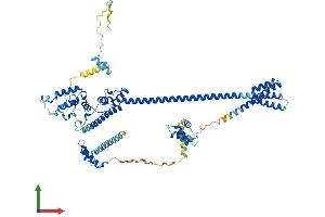 AlphaFold protein structure predicition of Human Recombinant DNAJC2 Protein, UniprotID Q99543 (DNAJC2 Protein (AA 1-621) (His tag))