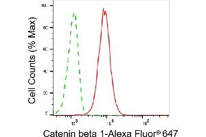 Flow cytometric analysis of Catenin beta 1 expression in C2C12 cells using Catenin beta 1 antibody (ABIN7797930), 1:2,000). (CTNNB1 antibody)
