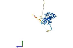 AlphaFold protein structure predicition of Mouse Recombinant Kctd15 Protein, UniprotID Q8K0E1 (KCTD15 Protein (AA 1-283) (His tag))