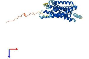 Oxoglutarate (Alpha-Ketoglutarate) Receptor 1 (OXGR1) (AA 1-337) protein (His tag)