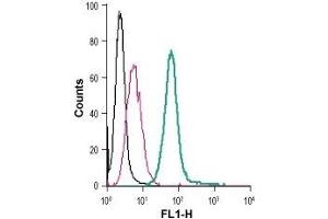 Cell surface detection of S1PR3 in live intact mouse J774 macrophage cells: (black line) Cells. (S1PR3 antibody  (Extracellular) (FITC))