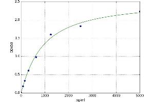 Solute Carrier Family 30 (Zinc Transporter), Member 1 (SLC30A1) ELISA Kit