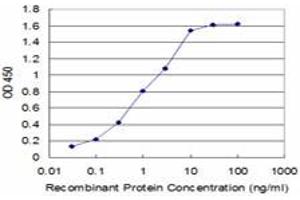 Detection limit for recombinant GST tagged FADD is approximately 0. (FADD antibody  (AA 109-208))