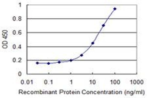 DAD1 antibody  (AA 1-113)
