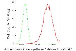 Flow cytometric analysis of Argininosuccinate synthase 1 expression in HepG2 cells using Argininosuccinate synthase 1 antibody (ABIN7797647), 1:2,000). (ASS1 antibody)