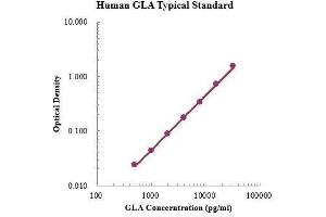 GLA ELISA Kit