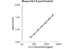 ELISA image for Galactosidase, alpha (GLA) ELISA Kit (ABIN3199196)