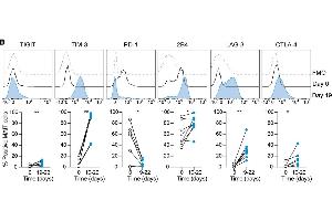 Representative example and average expression of the indicated inhibitory receptorson MAIT cells over time in culture (n = 6–8) using LAG-3 antibody (ABIN1169105).