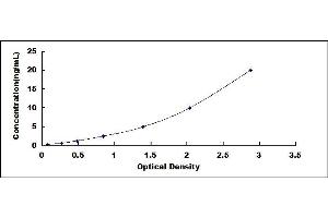 Typical standard curve (LTBP2 ELISA Kit)