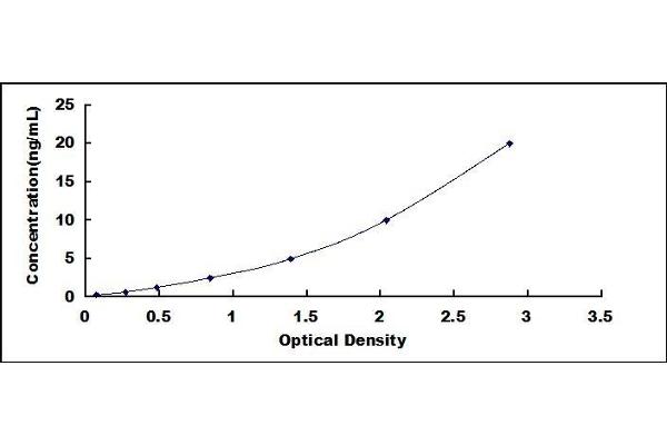 LTBP2 ELISA Kit