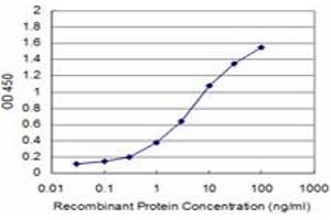 Detection limit for recombinant GST tagged BRAF is approximately 0. (BRAF antibody  (AA 138-231))