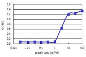 Sandwich ELISA detection sensitivity ranging from 1 ng/ml to 100 ng/ml.