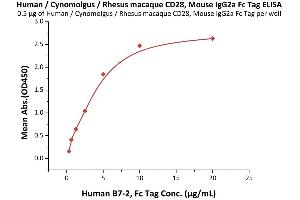 Immobilized Human / Cynomolgus / Rhesus macaque CD28, Mouse IgG2a Fc Tag, low endotoxin (ABIN5674618,ABIN6253669) at 5 μg/mL (100 μL/well) can bind Human B7-2, Fc Tag (ABIN2180621,ABIN2180620) with a linear range of 0. (CD28 Protein (CD28) (AA 19-152) (Fc Tag))