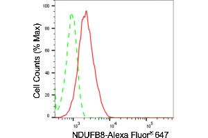 Flow cytometric analysis of NDUFB8 expression in HepG2 cells using NDUFB8 antibody (ABIN7799552), 1:2,000).