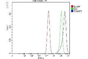 anti-Translocase of Outer Mitochondrial Membrane 70 (TOMM70A) (AA 122-608) antibody