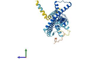 AlphaFold protein structure predicition of Mouse Recombinant Calhm2 Protein, UniprotID Q8VEC4 (CALHM2 Protein (AA 1-323) (His tag))