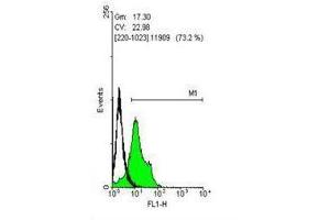 FACS Image Flow cytometry on human embryonic stem cells, staining with SOX2 ,antibody at 1:50 dilution(green) or rabbit IgG (black). (SOX2 antibody)