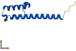 Protein Structure (PS) image for Chromosome 16 Open Reading Frame 61 (C16orf61) (AA 1-79) protein (Fc Tag) (ABIN7546760)