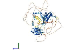 AlphaFold protein structure predicition of Human Recombinant DNAAF2 Protein, UniprotID Q9NVR5 (DNAAF2 Protein (AA 1-837) (His tag))