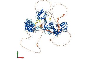AlphaFold protein structure predicition of Mouse Recombinant Dlg3 Protein, UniprotID P70175 (DLG3 Protein (AA 1-849) (His tag))