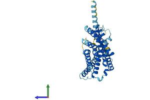 AlphaFold protein structure predicition of Human Recombinant GPR18 Protein, UniprotID Q14330 (GPR18 Protein (AA 1-331) (His tag))