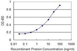 Detection limit for recombinant GST tagged PACSIN2 is 0. (PACSIN2 antibody  (AA 368-428))