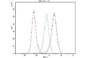 Flow Cytometry analysis of U251 cells using anti-Dynamin 1 antibody (ABIN5692848). (Dynamin 1 antibody  (AA 616-667))