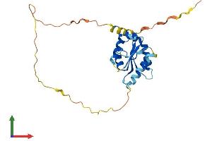 AlphaFold protein structure predicition of Mouse Recombinant Tirap Protein, UniprotID Q99JY1