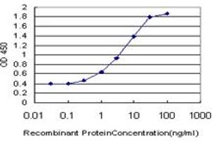 Detection limit for recombinant GST tagged NANOG is approximately 0. (Nanog antibody  (AA 98-195))