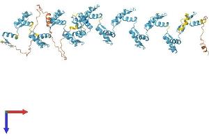 Protein Structure (PS) image for Zinc Finger Protein 780B (ZNF780B) (AA 1-833) protein (His tag) (ABIN7545279)