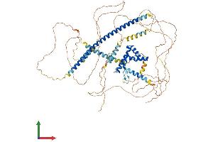 Protein Structure (PS) image for SRY (Sex Determining Region Y)-Box 5 (SOX5) (AA 1-763) protein (His tag) (ABIN7546297)