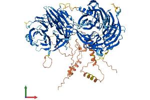 AlphaFold protein structure predicition of Human Recombinant LLGL1 Protein, UniprotID Q15334 (LLGL1 Protein (AA 1-1064) (His tag))