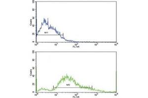 Flow cytometric analysis of SK-Br-3 cells using PDGFR beta antibody (bottom histogram) compared to a negative control (top histogram).