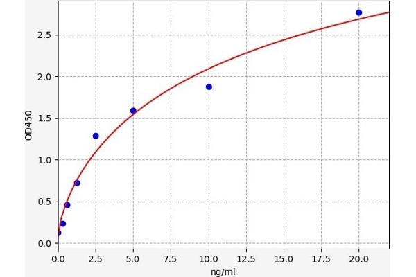 Androgen Receptor ELISA Kit