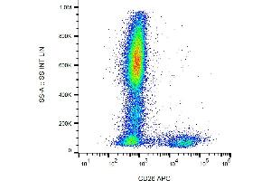 Flow cytometry analysis (surface staining) of human peripheral blood cells with anti-human CD26 (BA5b) APC. (DPP4 antibody  (APC))