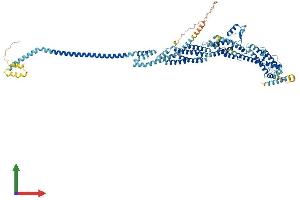 AlphaFold protein structure predicition of Human Recombinant EXOC6 Protein, UniprotID Q8TAG9