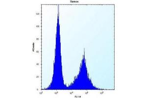 Flow cytometric analysis of Ramos cells using Necdin Antibody (N-term) Cat. (NDN antibody  (N-Term))