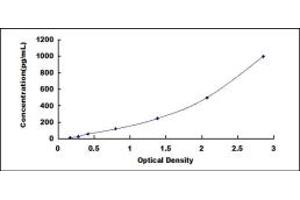 Typical standard curve (DEFB119 ELISA Kit)