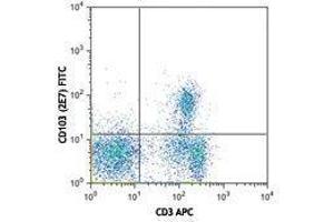 Flow Cytometry (FACS) image for anti-Integrin, alpha E (Antigen CD103, Human Mucosal Lymphocyte Antigen 1, alpha Polypeptide) (ITGAE) antibody (FITC) (ABIN2661454) (CD103 antibody  (FITC))