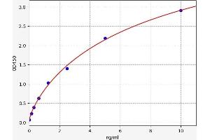 Glucocorticoid Receptor ELISA Kit