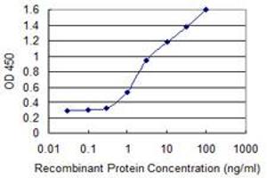 Detection limit for recombinant GST tagged ALPI is 0. (Intestinal Alkaline Phosphatase antibody  (AA 74-162))