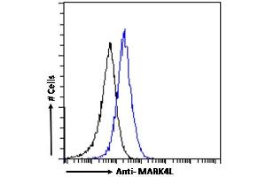 (ABIN184722) Flow cytometric analysis of paraformaldehyde fixed A431 cells (blue line), permeabilized with 0. (MARK4 antibody  (C-Term))