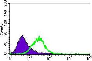 Flow cytometric analysis of HeLa cells using MAP1LC3A mouse mAb (green) and negative control (purple). (MAP1LC3A antibody  (AA 1-121))