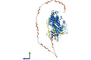 Protein Structure (PS) image for Dynamin 3 (DNM3) (AA 1-869) protein (His tag) (ABIN7553757)
