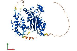 Protein Structure (PS) image for Protein Phosphatase 1F (PP2C Domain Containing) (PPM1F) (AA 1-452) protein (His tag) (ABIN7559321)