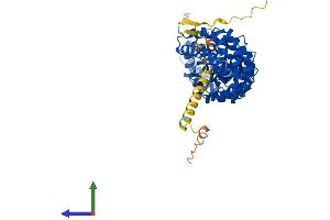 AlphaFold protein structure predicition of Mouse Recombinant Kpna6 Protein, UniprotID O35345