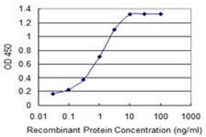 ELISA image for anti-Cadherin 2 (CDH2) (AA 807-906) antibody (ABIN560275)