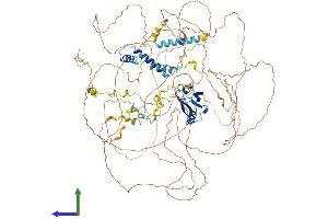 AlphaFold protein structure predicition of Mouse Recombinant Synpo2 Protein, UniprotID Q91YE8 (SYNPO2 Protein (AA 1-1087) (His tag))